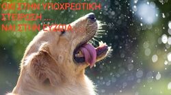 ΚΑΛΟΎΜΕ ΑΎΡΙΟ ΤΕΤΆΡΤΗ 19/5 ΚΑΙ ΏΡΑ 6:00 μμ